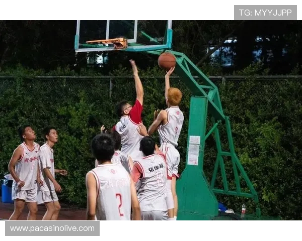 沈阳市小学生篮球锦标赛盛大开幕 赛场上演青春激战 展现小小篮球梦想 沈阳市小学生篮球锦标赛盛大开幕 赛场上演青春激战 展现小小篮球梦想